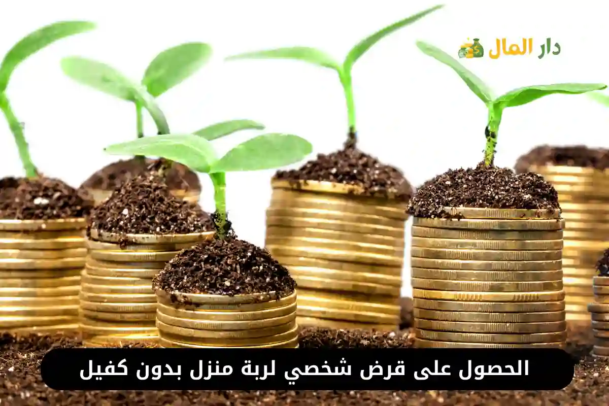 قرض لربة منزل بدون كفيل